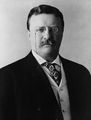 File:Theodore roosevelt 1904.jpg - TLP